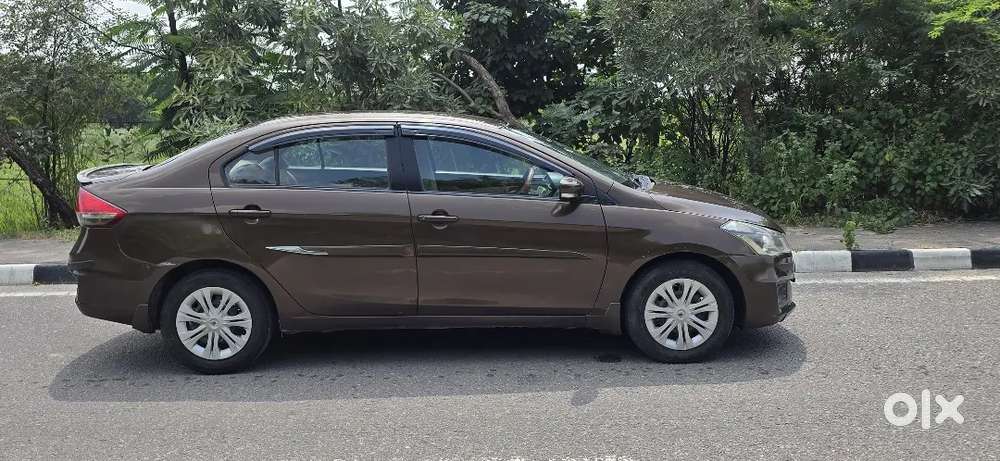 Maruti Suzuki Ciaz 2016 Diesel Well Maintained