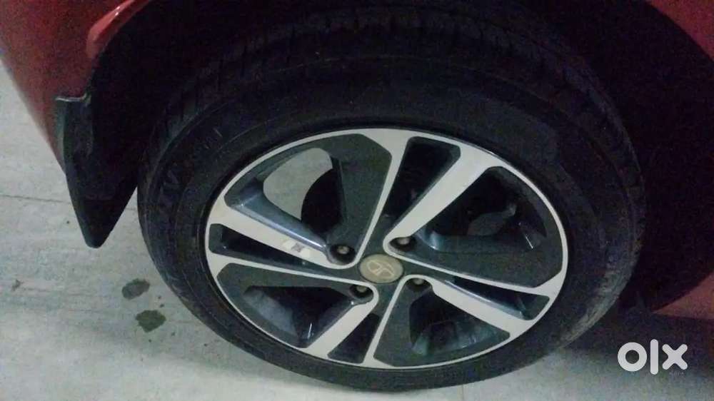 No Damages, No Claims So Far