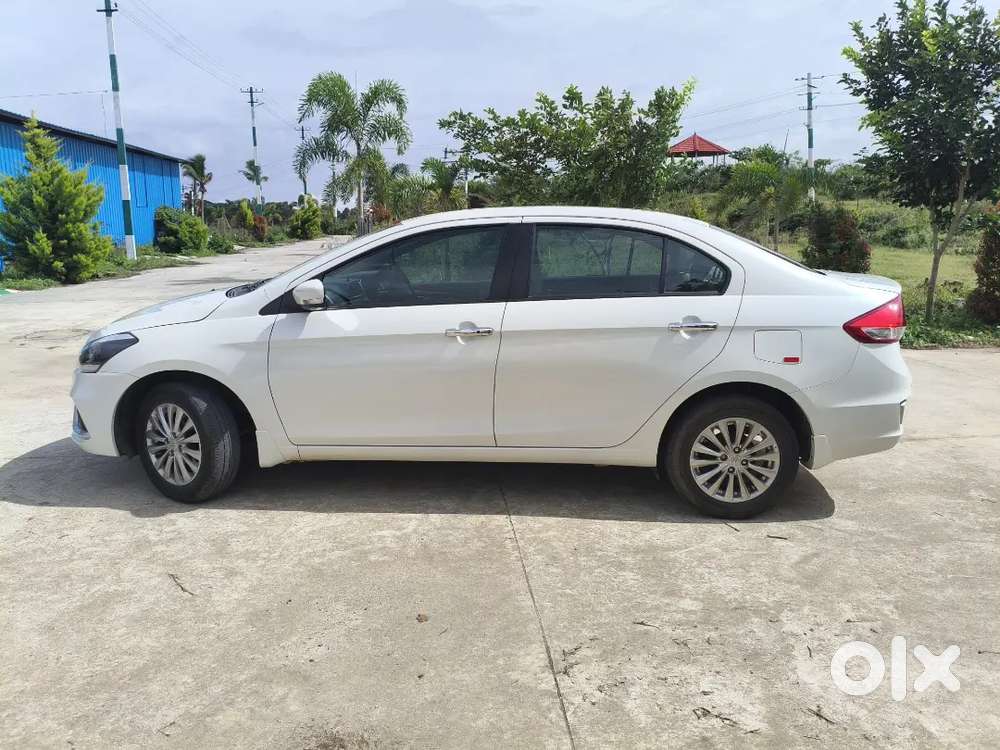 Maruti Ciaz 1.5 Zeta 2024