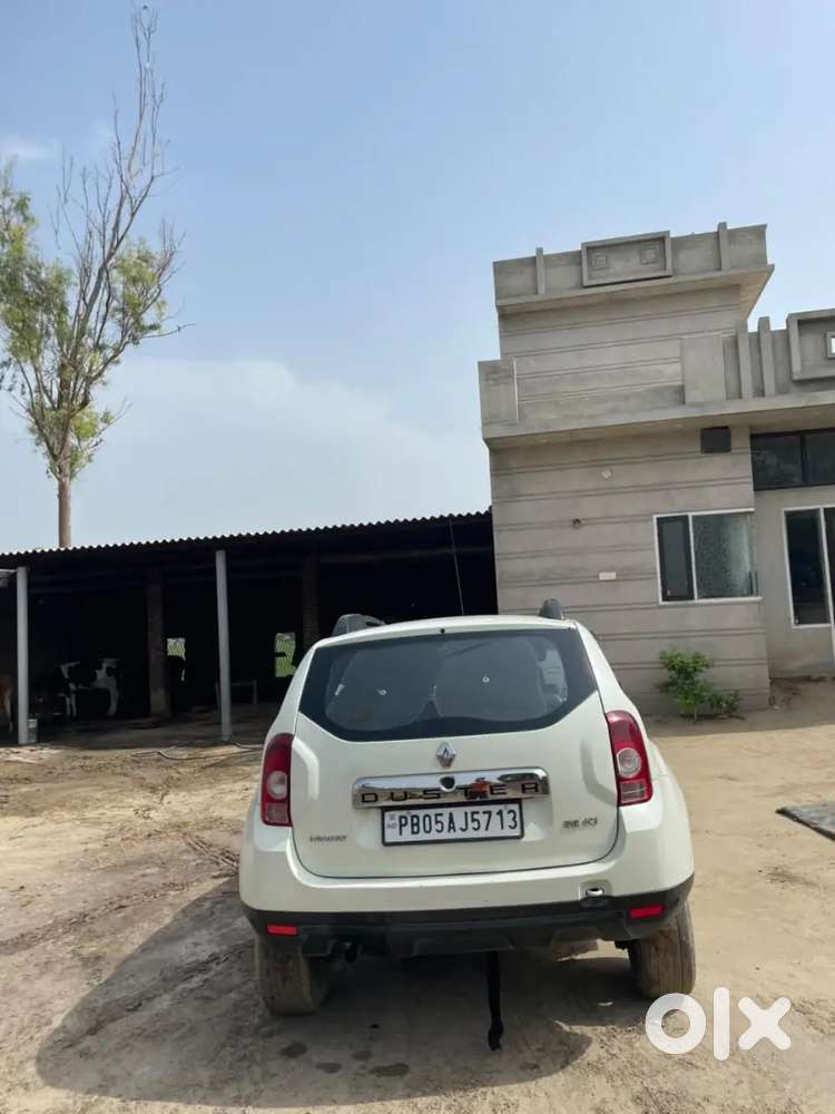 2014 Renault Duster Diesel Manual Car