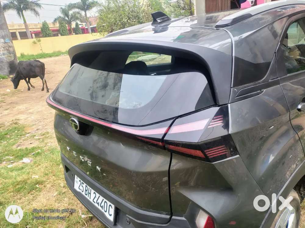 Tata Nexon 2025 Petrol 6500 Km Driven
