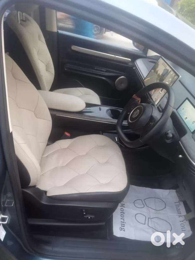 Mg Windsor Ev, 2025, Electric