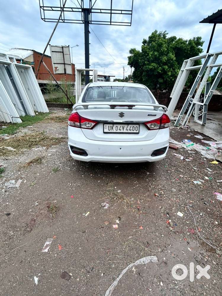 Maruti Suzuki Diesel 2016