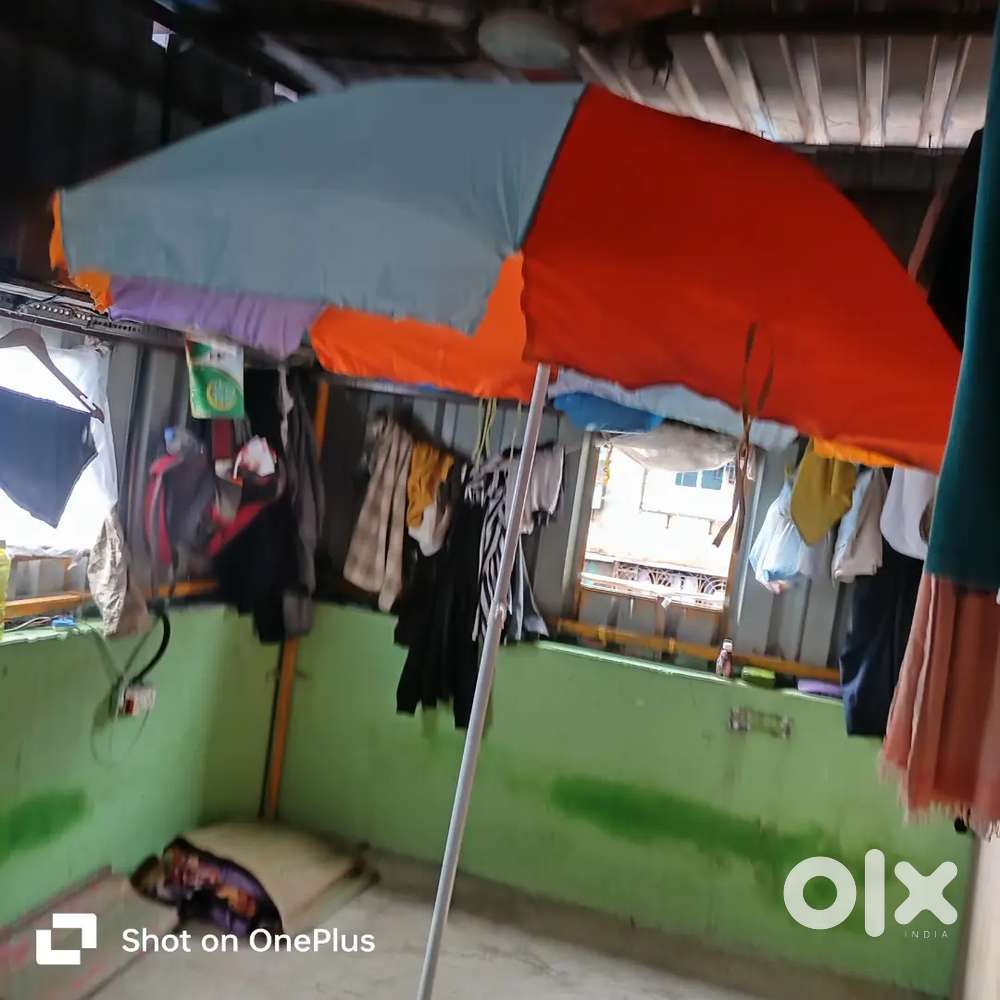 Umbrella ️