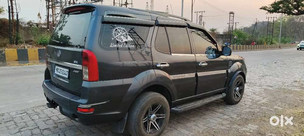 Family Cartata Safari