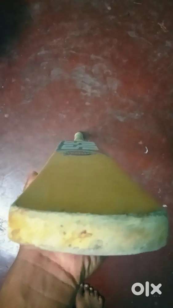 SS company bat