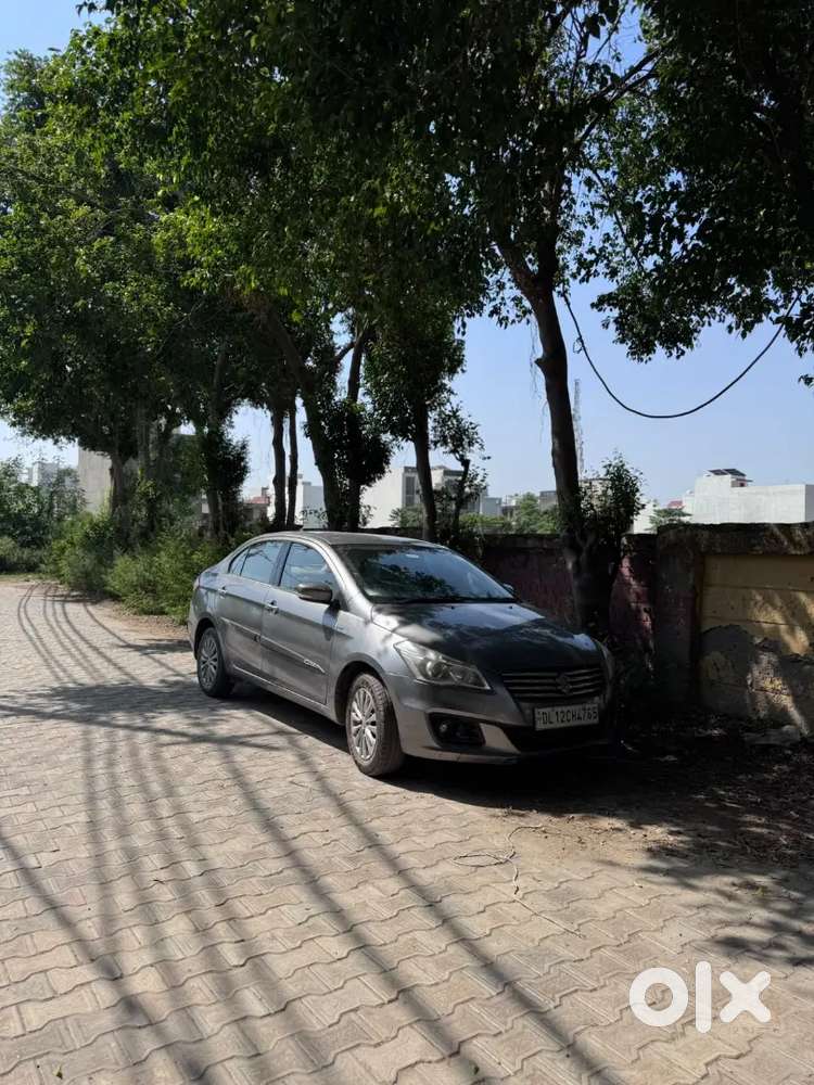 Maruti Suzuki Ciaz 2014 Petrol