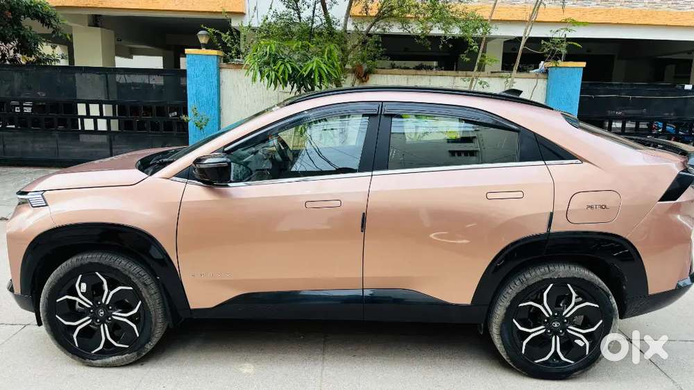 Tata Curvv 2025 Petrol 7326 Km Driven