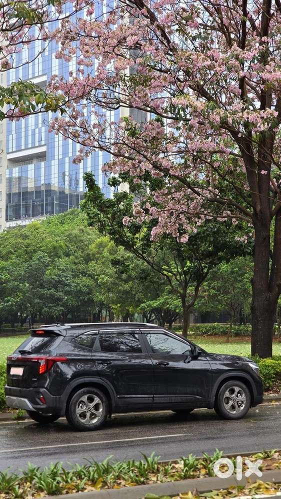 Kia Seltos 2024 Petrol Well Maintained