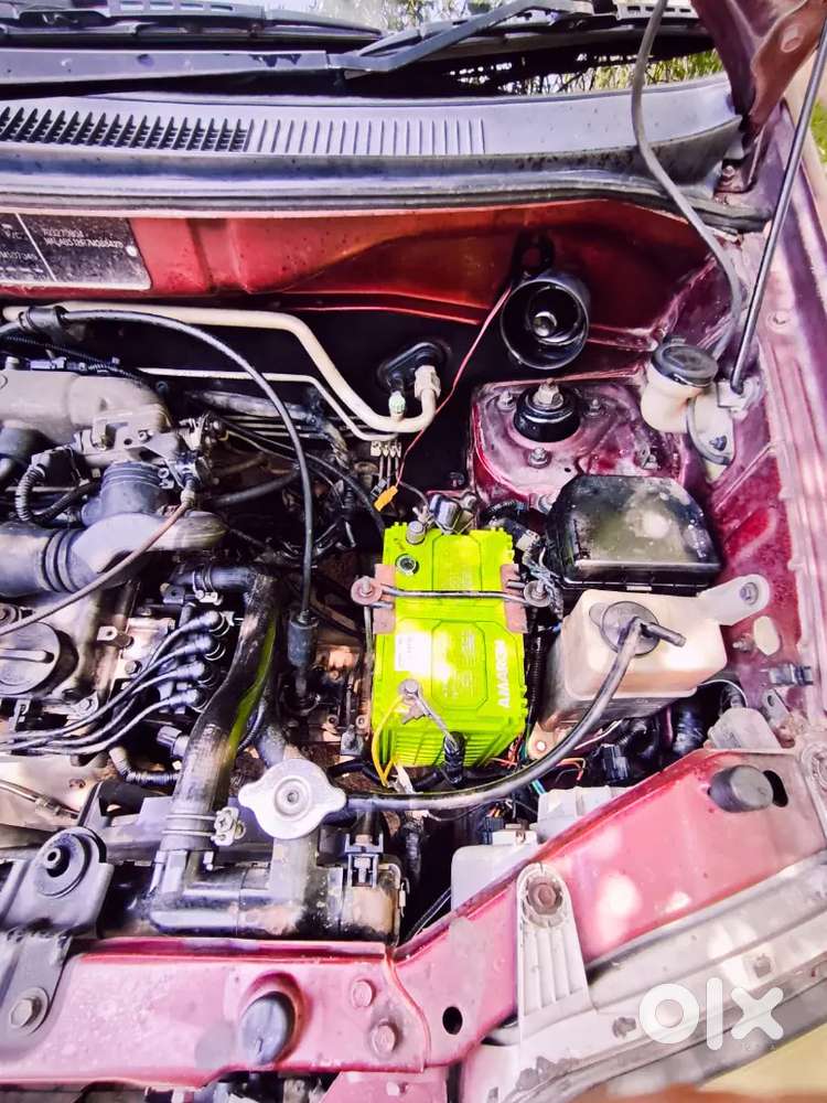 Santroxingxo Fcuptoapril2027 Limitededition
Topmodel 
Excellentrunning