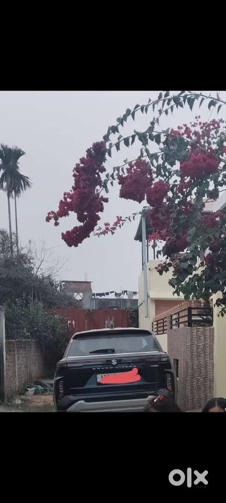 Maruti Suzuki Grand Vitara 2023