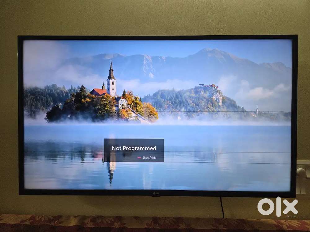 LG Smart TV 43 inches with Magic Remote