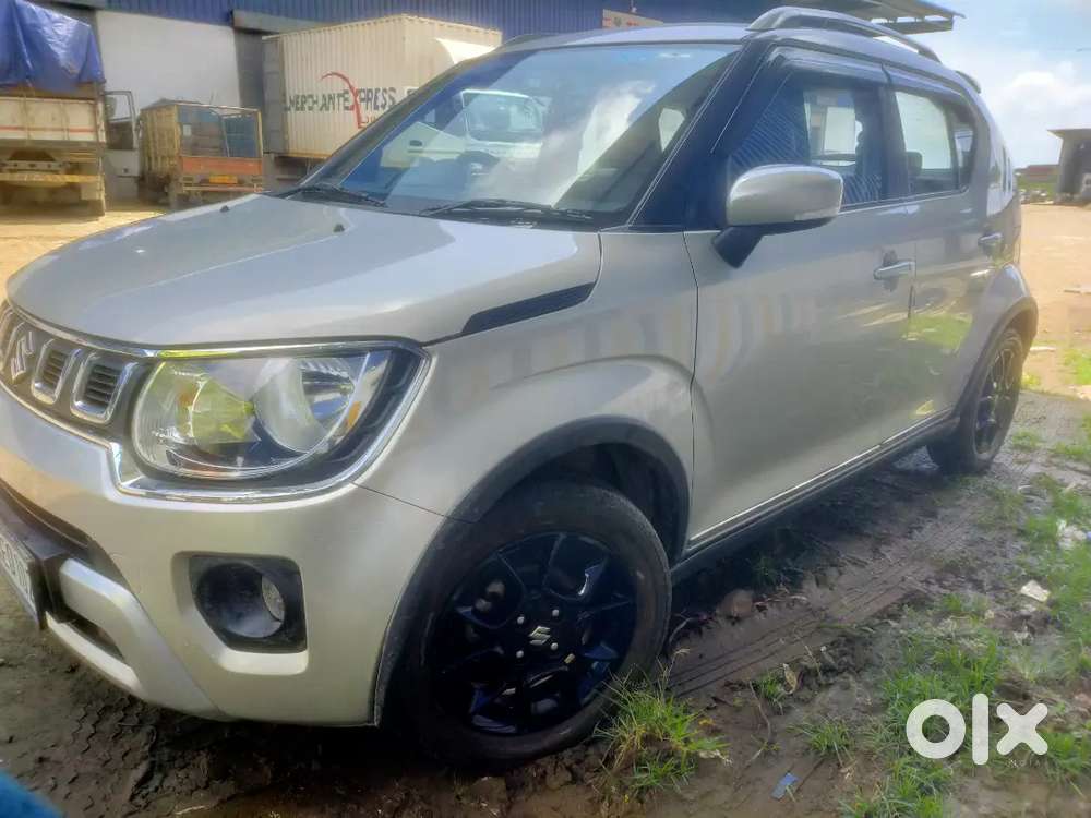 Maruti Suzuki Ignis 2024 Km Driven