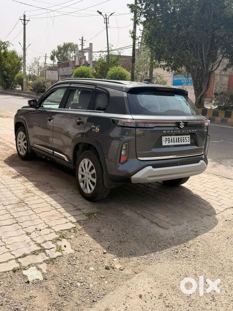 Maruti Suzuki Petrol 2024