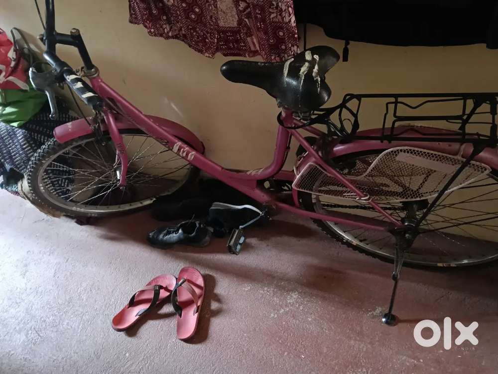 Miss India gold cycle