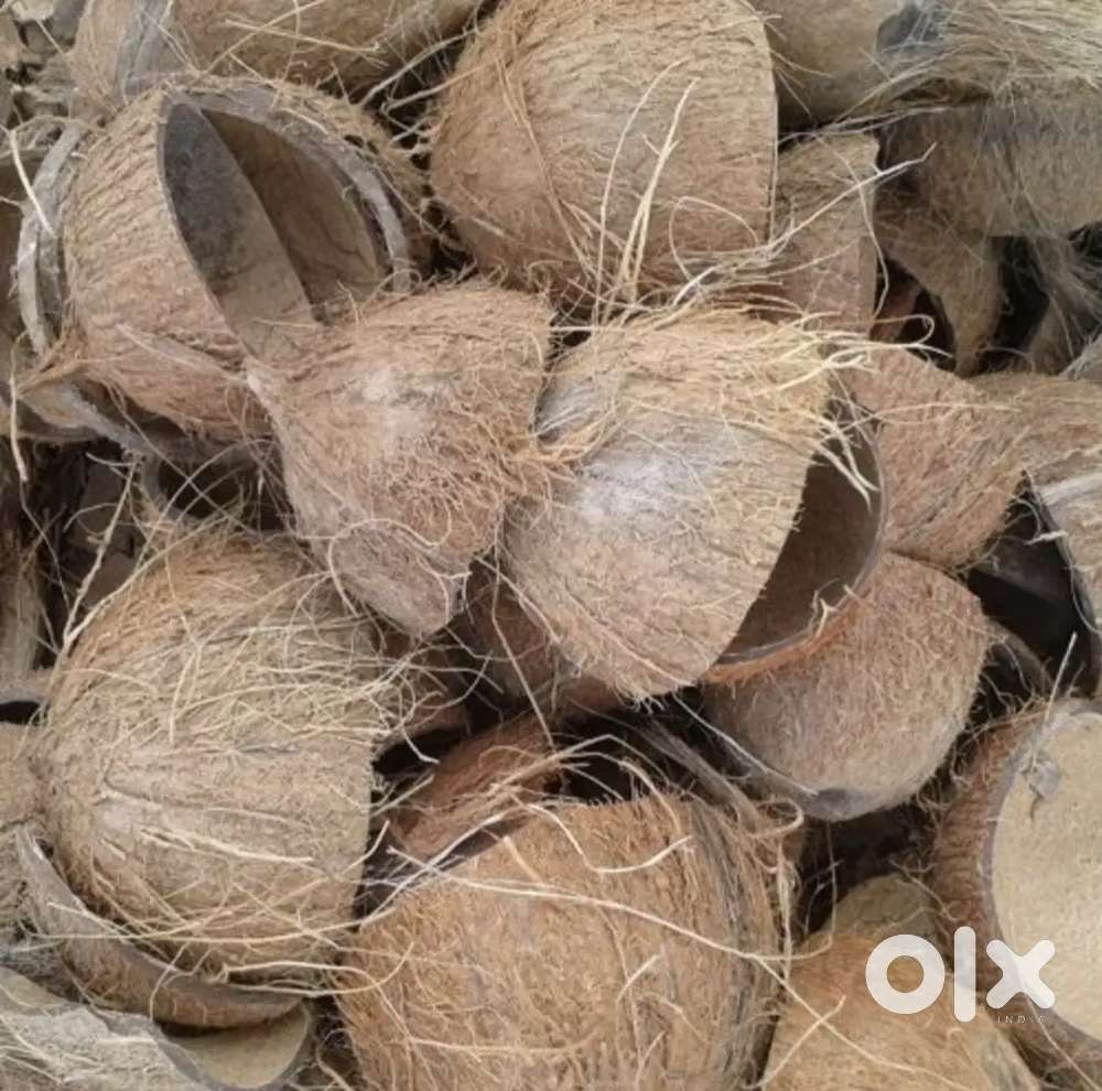 Coconut shells