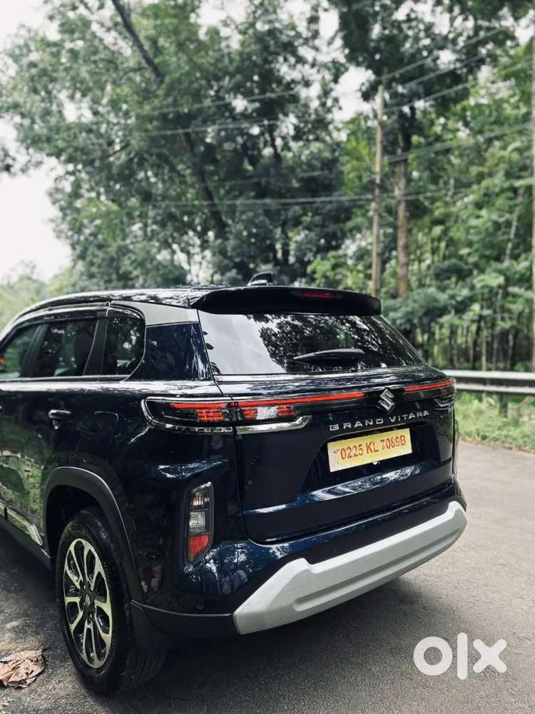 Maruti Suzuki Grand Vitara 2025 Petrol 10000 Km Driven