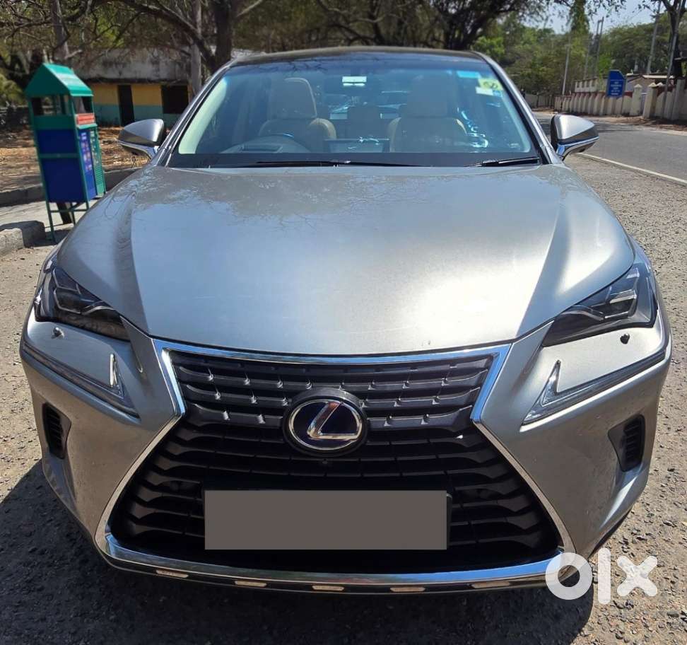 Lexus Nx Lexus-nx-300h-luxury, 2019, Petrol