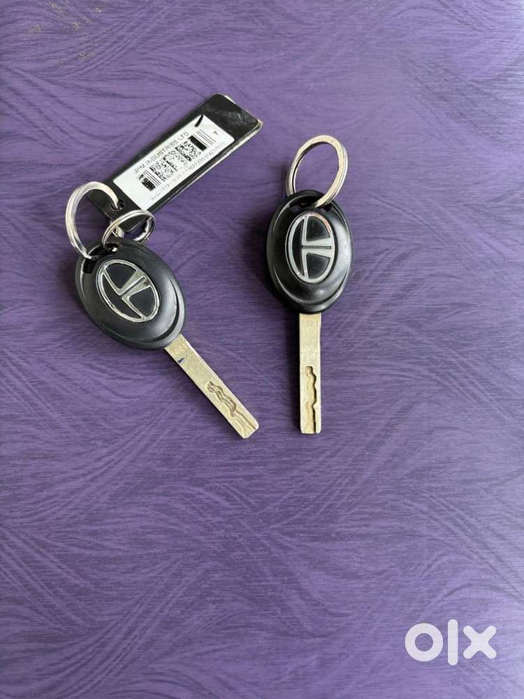 Tata Punch Petrol 2024 Pure