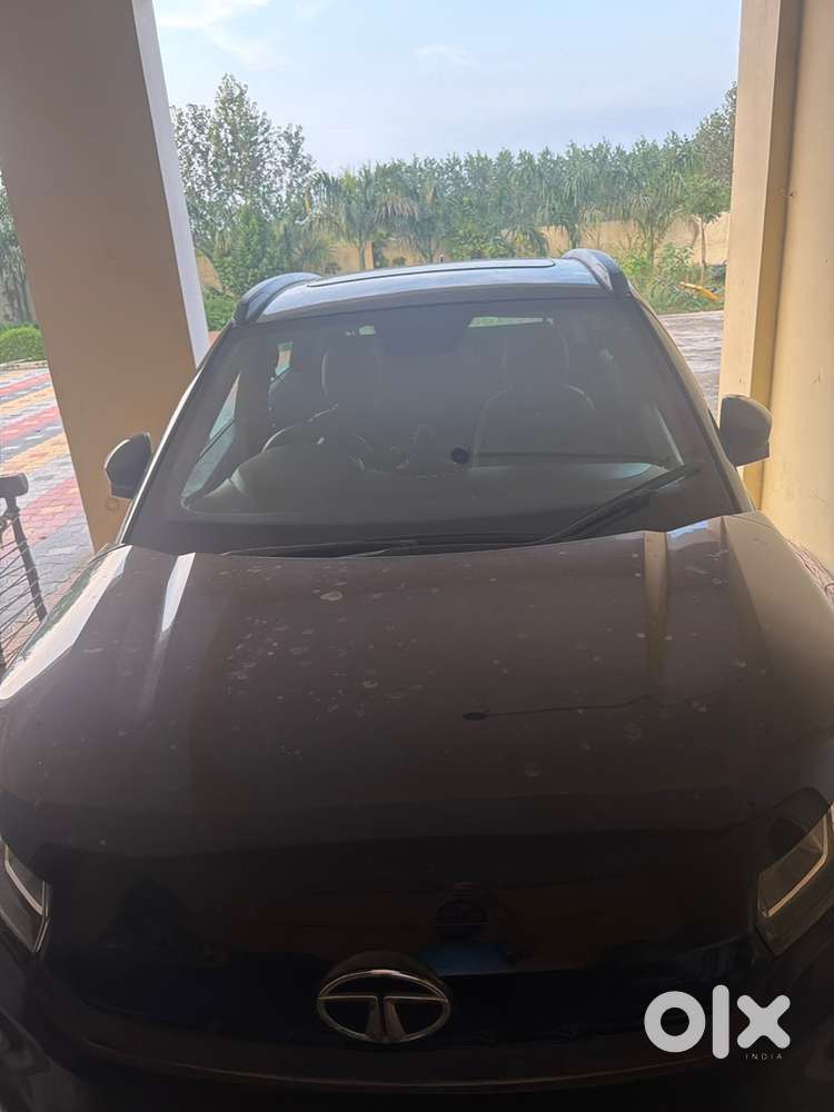Tata Nexon Petrol 2023