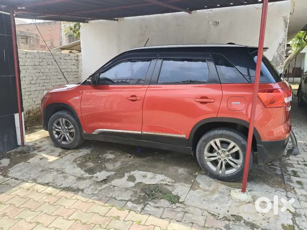 Gadi Running Very Safe