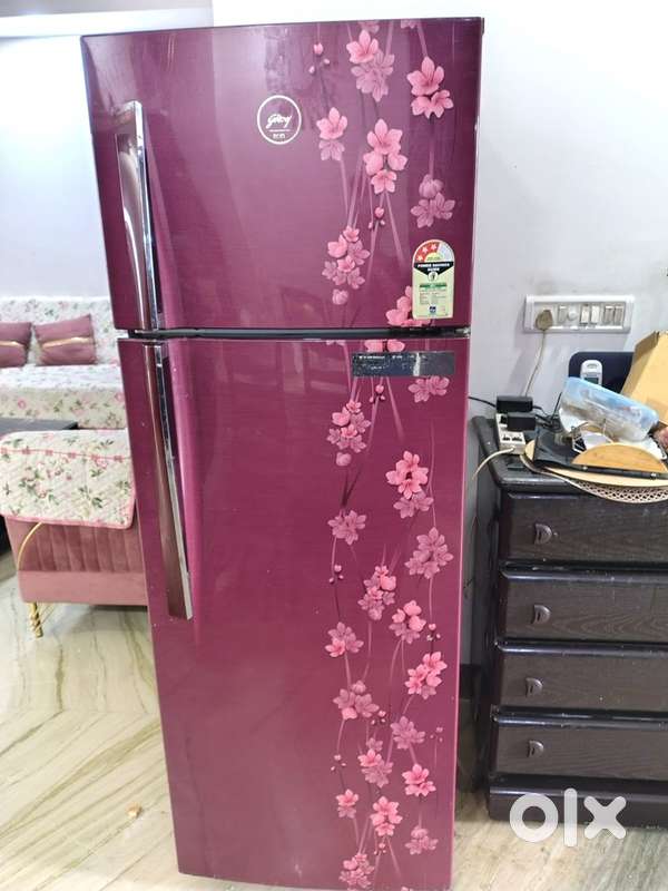 Godrej 290L Two Door Fridge