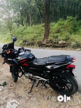 Olx bike shop pulsar 220