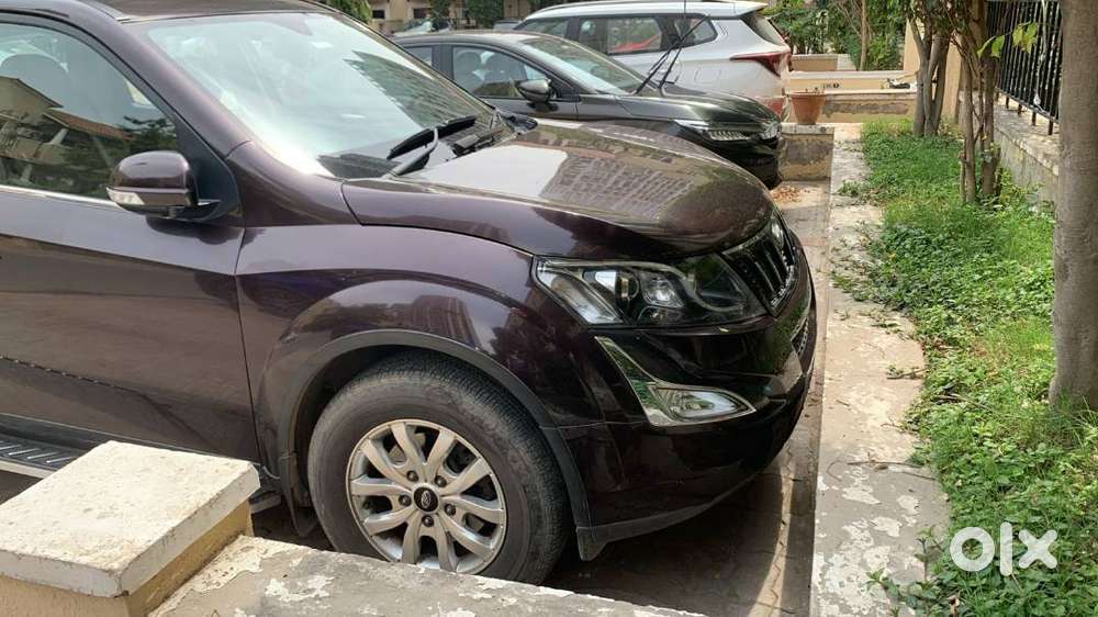 016 Mahindra Xuv500 W10 At Diesel  Purple Colour  1st Owner  60,000