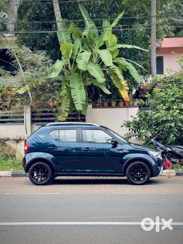 Maruti Suzuki Ignis 1.2 Alpha Mt, 2023, Petrol