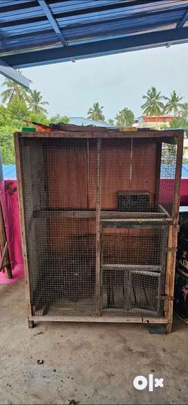 Pet Cage Pets for sale in Thiruvananthapuram OLX