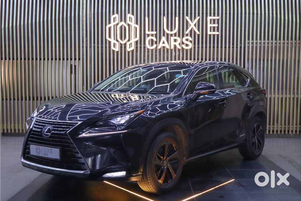 Lexus Nx, 2019, Petrol