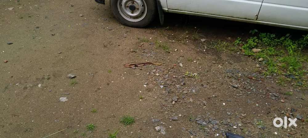 Maruti Suzuki 800 1998 Petrol 13000 Km Driven. Carburetor Not In Work