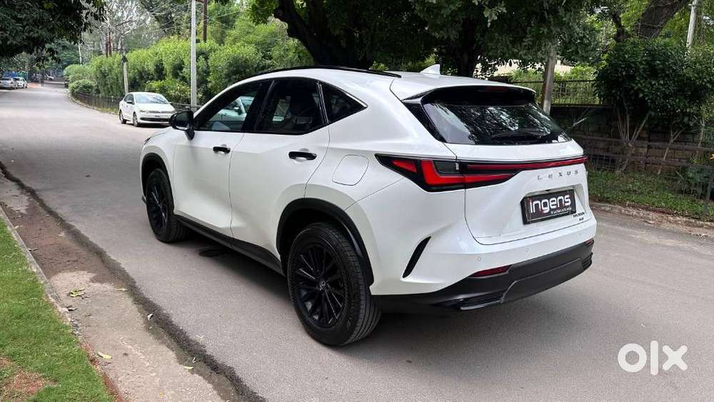 Lexus Nx 350h Overtrail, 2024, Petrol