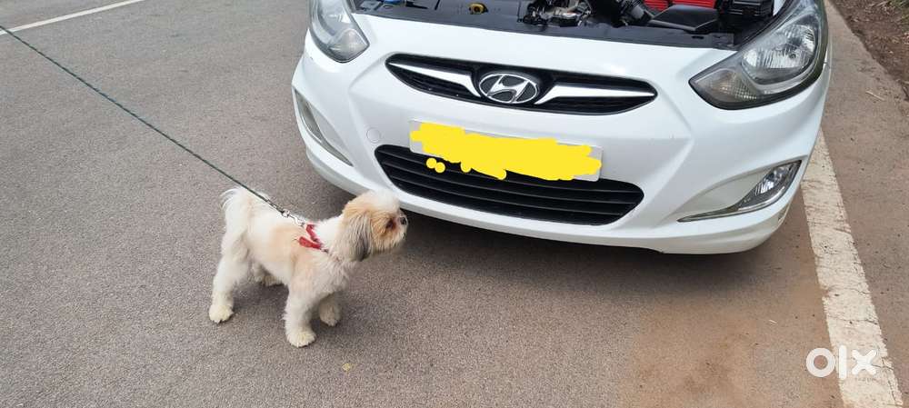 Hyundai Verna Transform 1.5 Crdi, 2013, Diesel