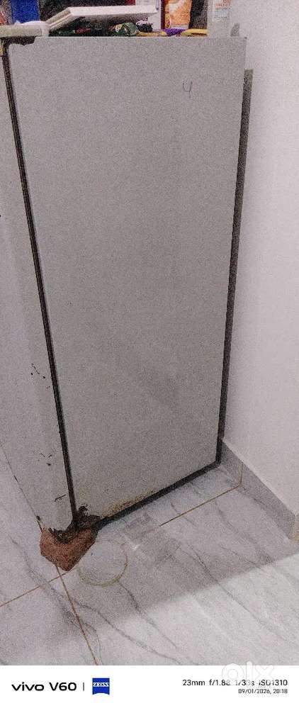 Haier frige