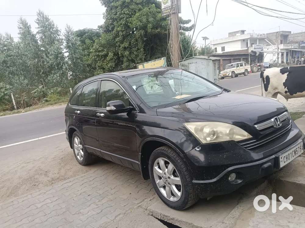 Honda / Crv