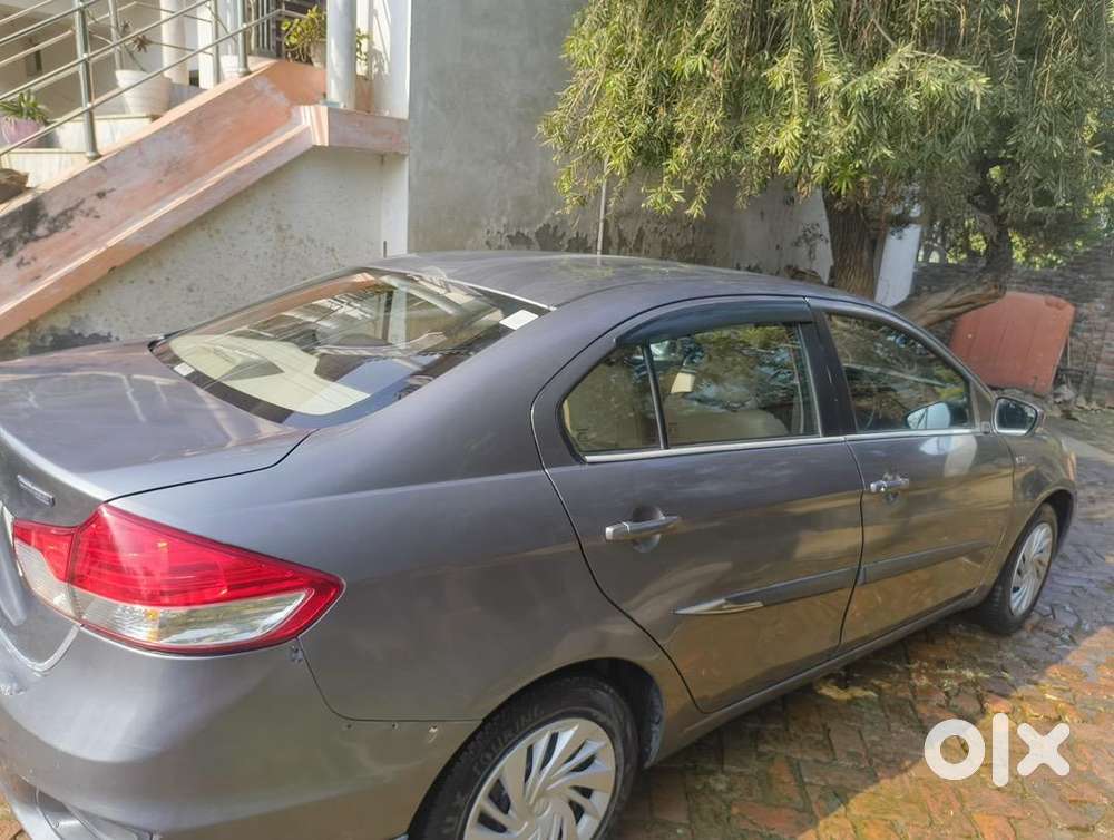 Maruti Suzuki Diesel 2019