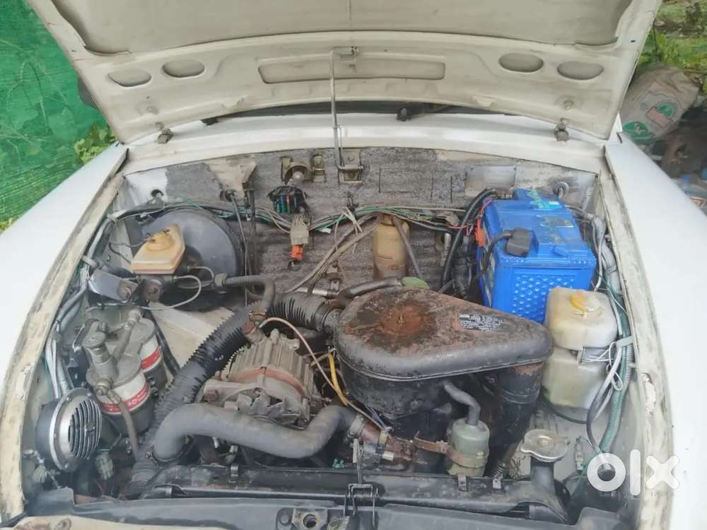 2006 Model Ambassador