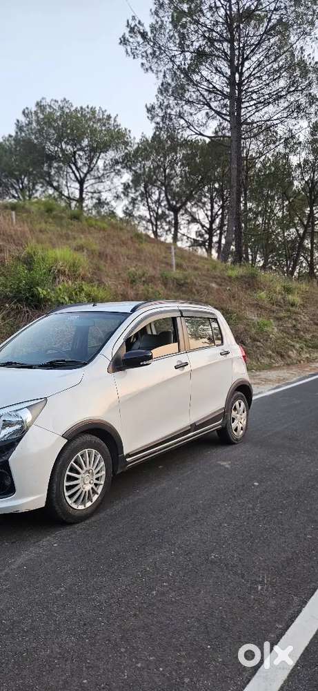Z Suzuki Celerio X 2019 Petrol 32000 Km Driven