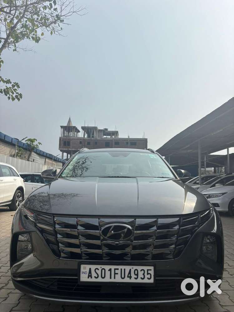 Hyundai Tucson 2.0 Signature 4wd Diesel At, 2024, Diesel