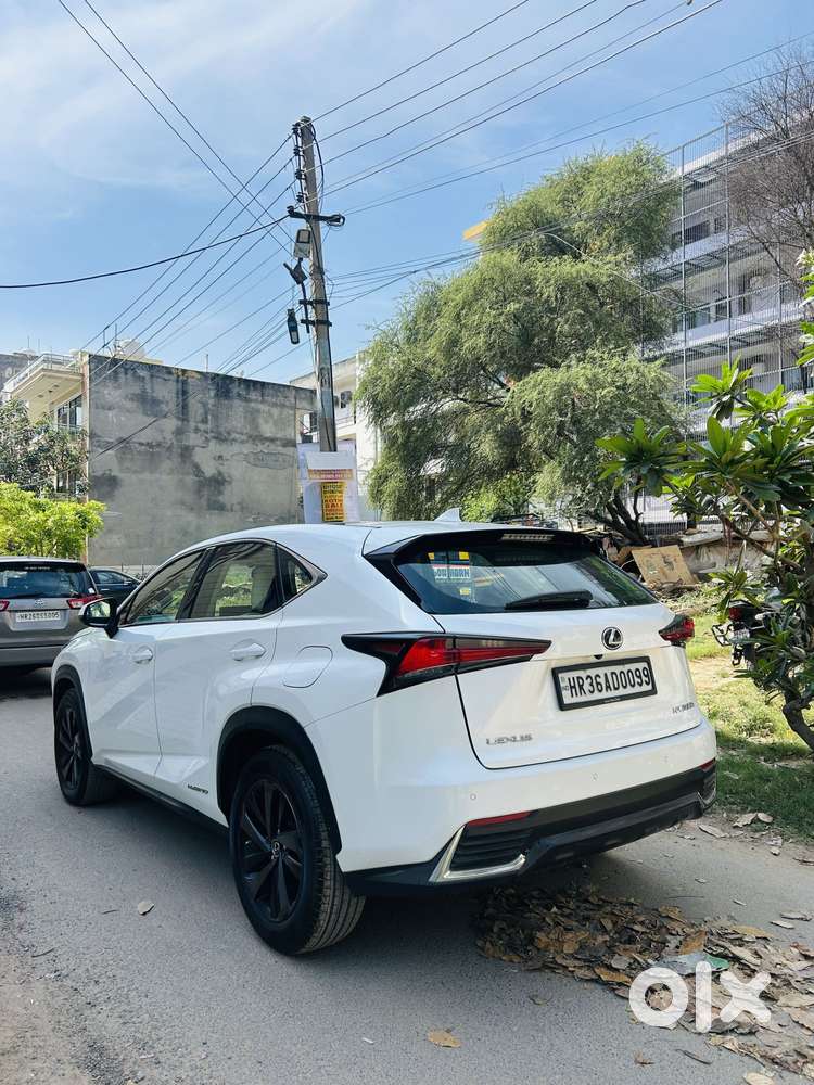 Lexus Nx Lexus-nx-300h-luxury, 2018, Petrol