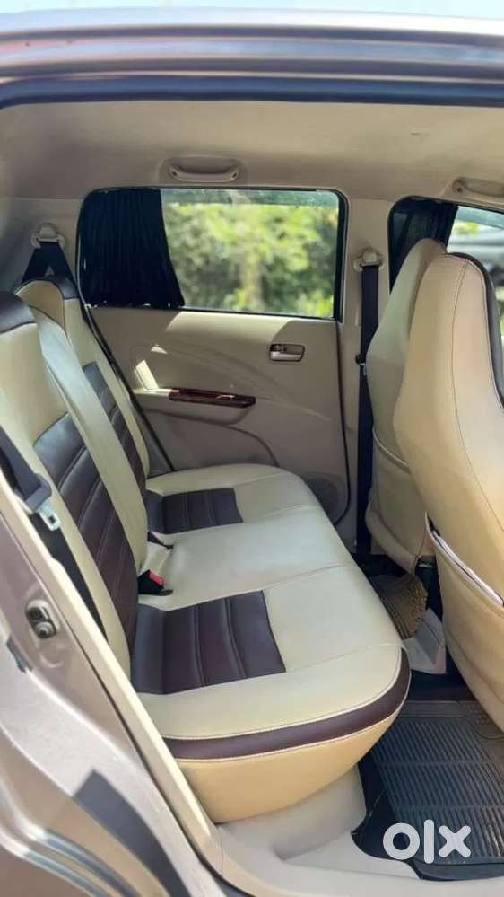 Maruti Suzuki Celerio Cng Vxi Optional, 2020, Cng & Hybrids