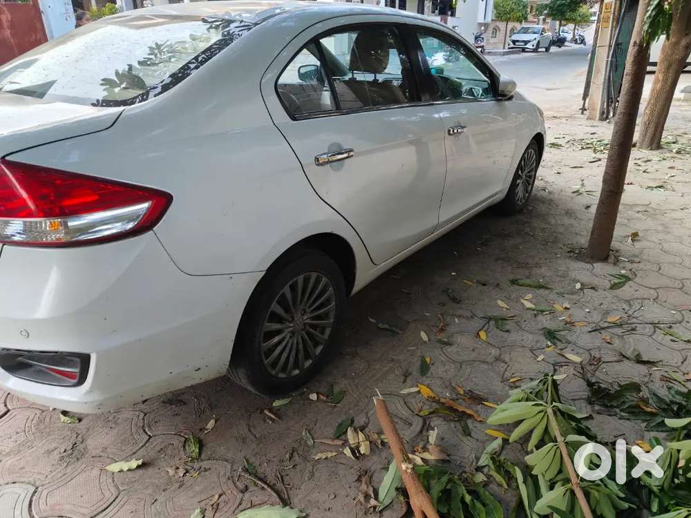 Maruti Suzuki Ciaz Zdi Diesel