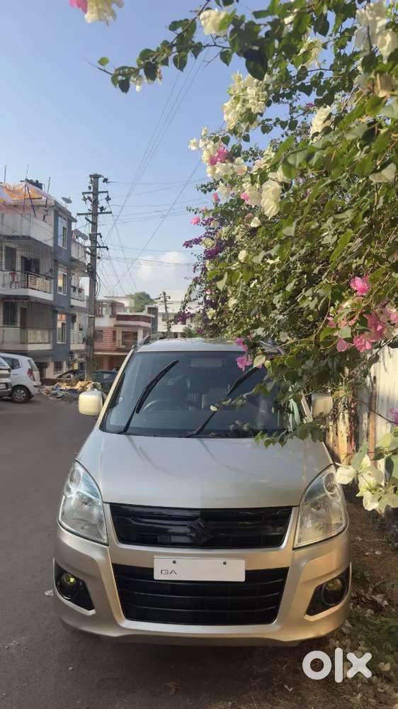 Maruti Suzuki Wagon R 1.0 2013