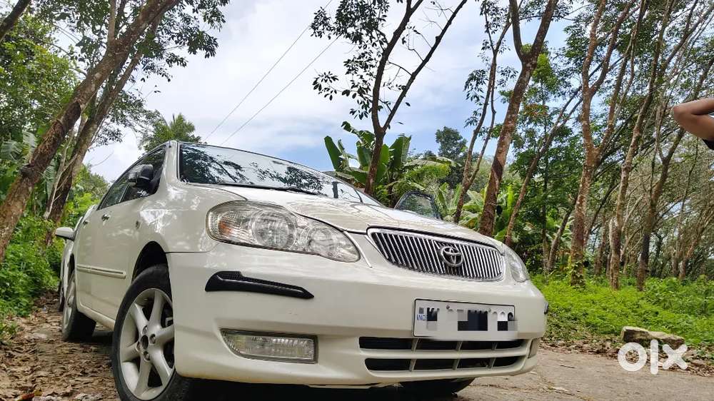 Toyota Corolla Well Maintained