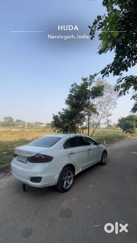 Maruti Suzuki Diesel 2016