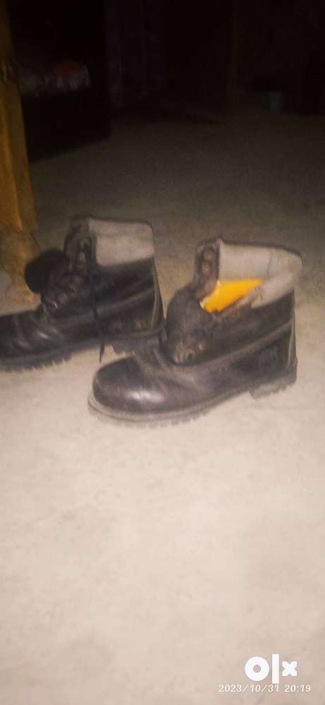 Olx timberland cheap