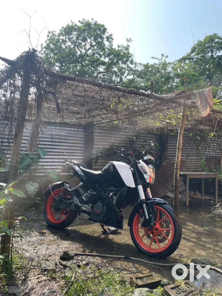 KTM Duke 200 BS Motorcycles 1824203031 - Main Image