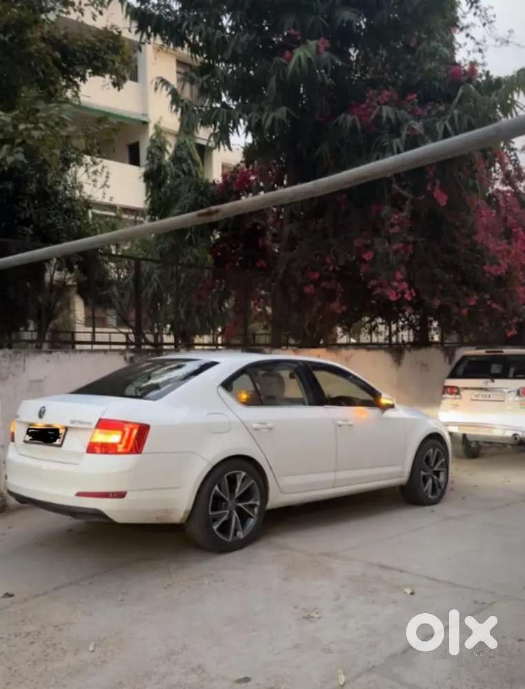 Skoda Octavia Automatic 2014 Top Model 2.0 Elagance