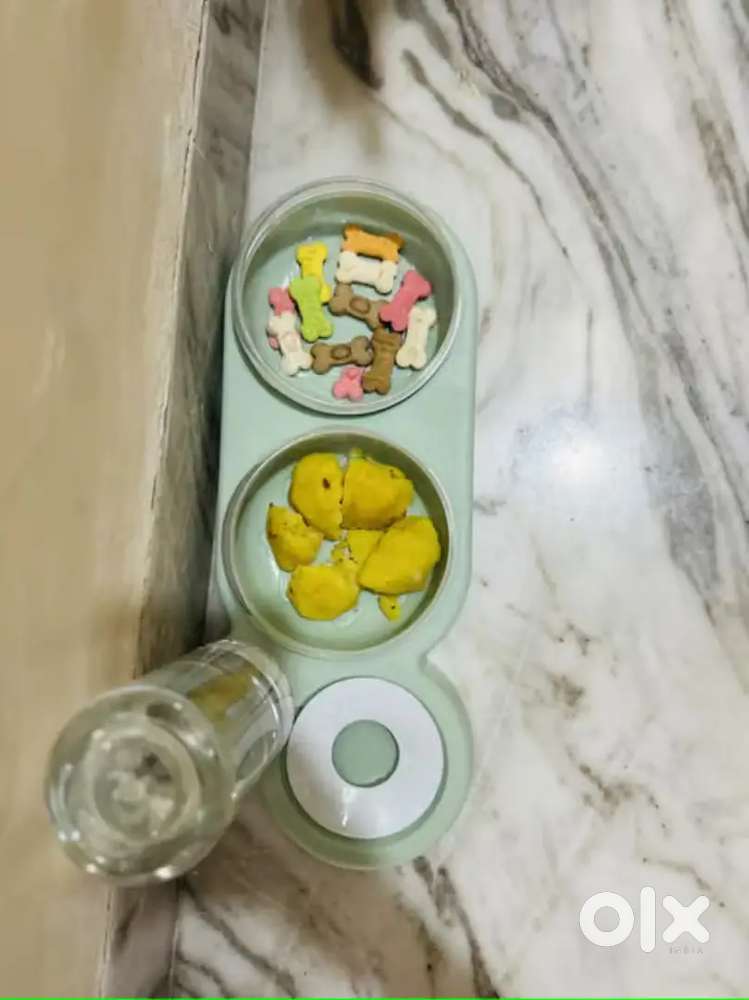 Dog foods plate